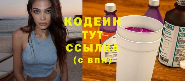 твердый Дмитровск