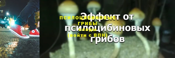 твердый Дмитровск