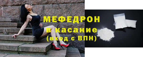 твердый Дмитровск