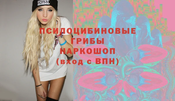 твердый Дмитровск