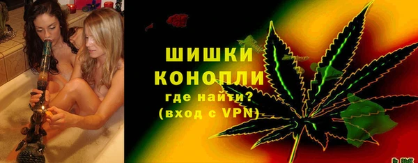 прущие грибы Ельня